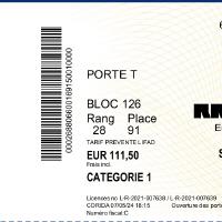 Rammstein in Lyon, Eintrittskarte.