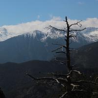 Andorra, Pass Coll d'Ordino.