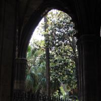 Barcelona, Catedral la Seu, Kreuzgang, Innenhof.