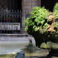 Barcelona, Catedral la Seu, Kreuzgang, Innenhof.