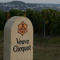 Weinberge von Veuve Clicquot.