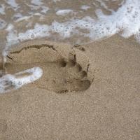 Empuriabrava, Fußabdruck im nassen Sand.