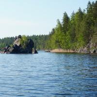 Fischadlernest im Saimaasee.