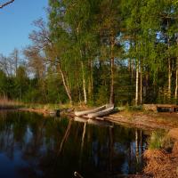 Anlegesteg am Saimaasee.