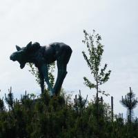 Elchdenkmal in Helsinki.