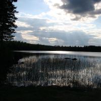 Schöne Gegend zwischen Söderhamn und Gävle.