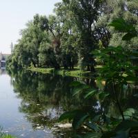 Oradea, Blick über Crişul Repede zum Platz der Einheit.