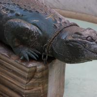 Nimes, Bronzekrokodil.