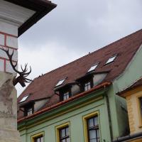 Sighişoara, Haus mit Hirschgeweih.