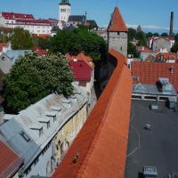 Stadtmauer von Tallinn.