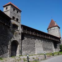 Stadtmauer von Tallinn mit Türmen.