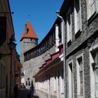 Stadtmauer von Tallinn mit Turm.