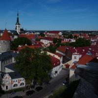 Blick über Tallinn.