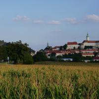 Blick über Mikulov mit Berg und Schloss.